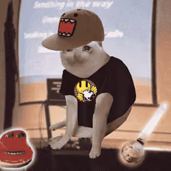 Cash Cat #3227