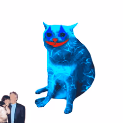 Cash Cat #6135