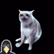 8987