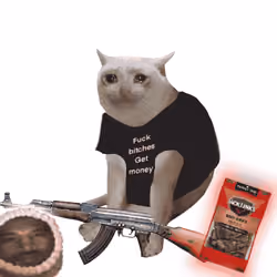 Cash Cat #4164