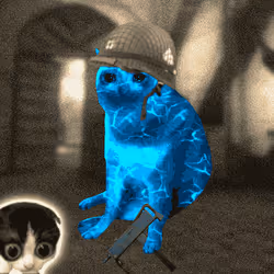Cash Cat #4393