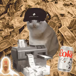 Cash Cat #2977