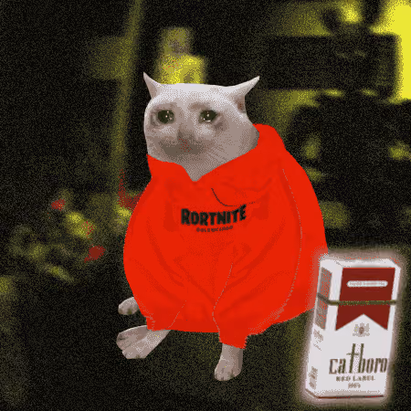Cash Cat #2934