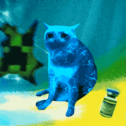 Cash Cat #1293