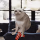 5580