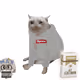 Cash Cat #1247