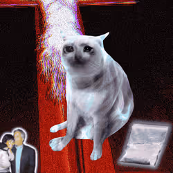 Cash Cat #2639