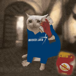 Cash Cat #721