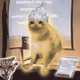 Cash Cat #474
