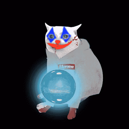 Cash Cat #877