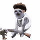 6034