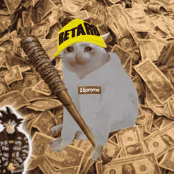 Cash Cat #2735