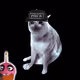 6750