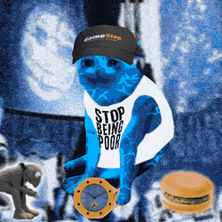 Cash Cat #8943