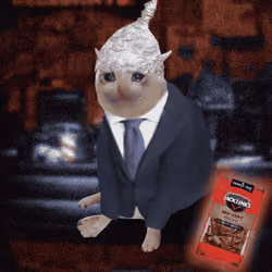 Cash Cat #6063