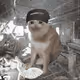 9793