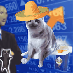 Cash Cat #6214