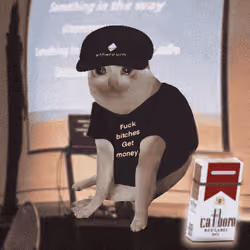 Cash Cat #663