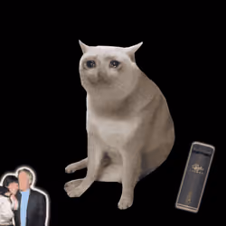 Cash Cat #5109