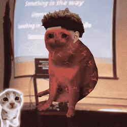 Cash Cat #2784