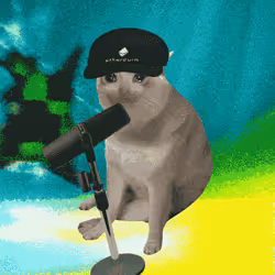 Cash Cat #6912