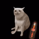7708