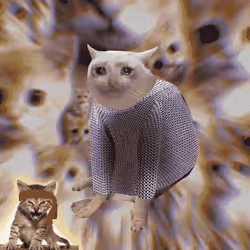 Cash Cat #9101