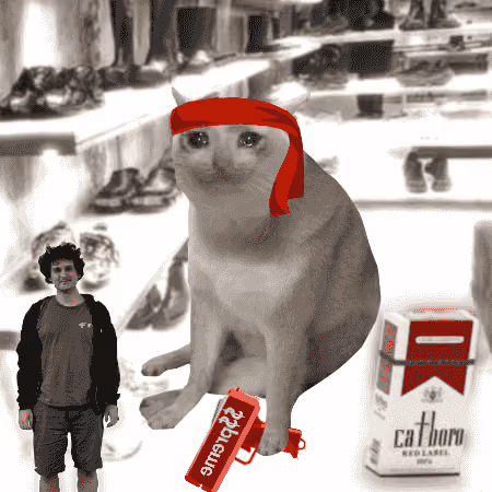 Cash Cat #5596