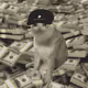 7911