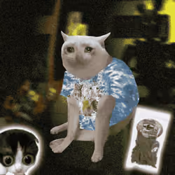 Cash Cat #7804