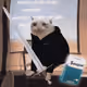 7180