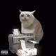 2614