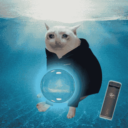 Cash Cat #483