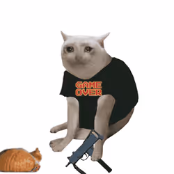Cash Cat #4173
