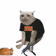 4173
