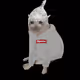 3570