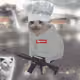 8051