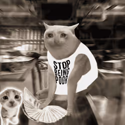 Cash Cat #9323