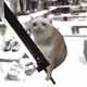 Cash Cat #9204