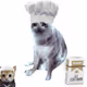 Cash Cat #3787