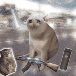 Cash Cat #6837