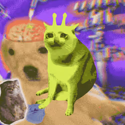 Cash Cat #8751
