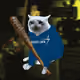 Cash Cat #3901