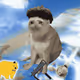 5772