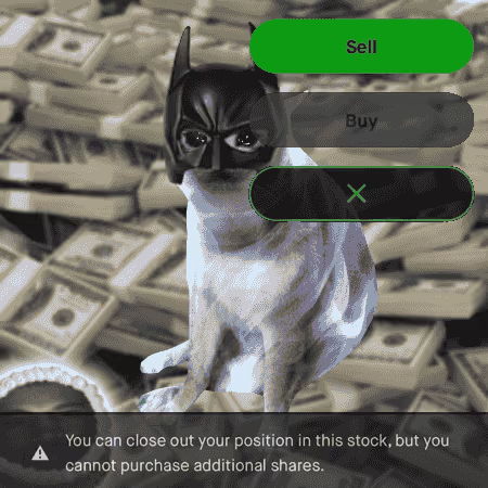 Cash Cat #7999
