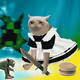 Cash Cat #2964