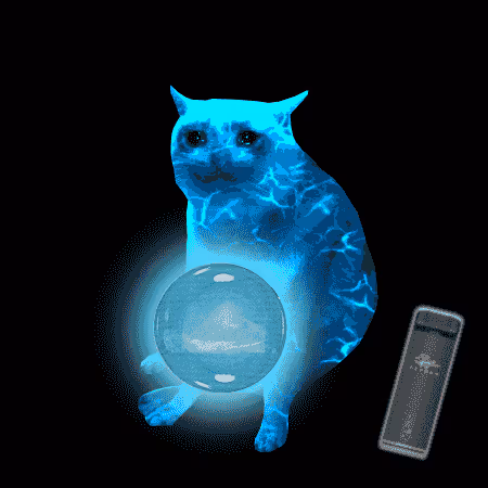 Cash Cat #510