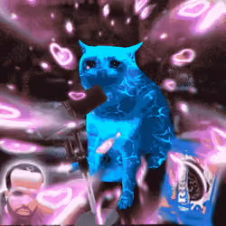 Cash Cat #2774