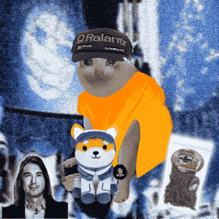Cash Cat #9049