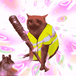 Cash Cat #7939